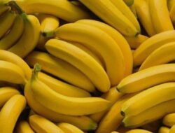 Pisang Buah Sejuta Manfaat
