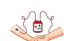 Mengenal Golongan Darah dan Manfaatnya bagi Tubuh