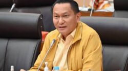 Pasar Karbon Dinilai Strategis, Tapi Pemahaman Publik Masih Minim