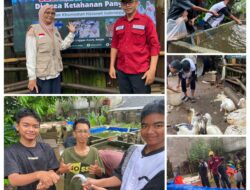 YKHI Kembangkan Program Ketahanan Pangan untuk Dukung Gizi Anak Yatim dan Dhu’afa