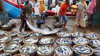 Potensi Pantai Utara Cilincing: Laut, Wisata, dan Harapan Baru Jakarta Utara
