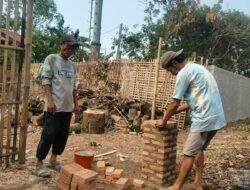 Bangun Ketahanan Pangan, BUMDes Sumberjaya Berdayakan Ternak Domba Garut