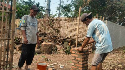 Bangun Ketahanan Pangan, BUMDes Sumberjaya Berdayakan Ternak Domba Garut