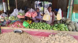 Viral !! Rujak buah Asim dan Turmini di Kota bumi Tangerang, Perjuangan dari Buruh Pabrik menjadi Pedagang Sukses